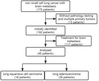 Prediction of adenocarcinoma and squamous carcinoma based on CT perfusion parameters of brain metastases from lung cancer: a pilot study